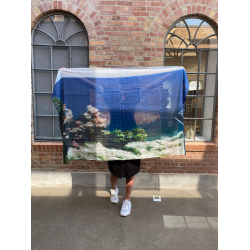 Trklde, Poul Anker Bech - "Den sidste sommer"