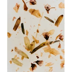 Licia : Florio - Flower Cuticle Oil