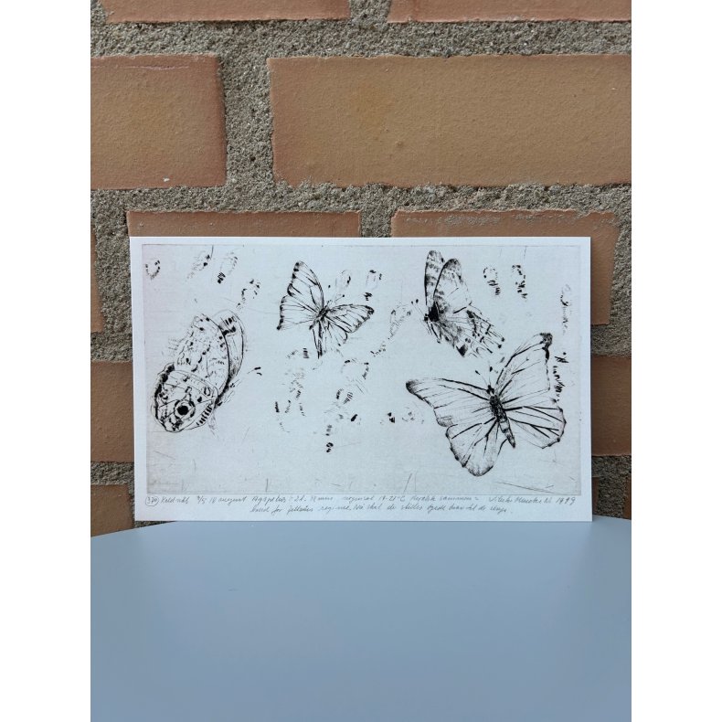 Kort: Vibeke Mencke Nielsen - Augustdage, 18. august 1999