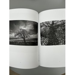 Bog: Kirsten Klein - Mytesteder