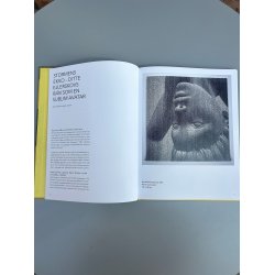 Bog: Ditte Ejlerskov - Stormens Ekko