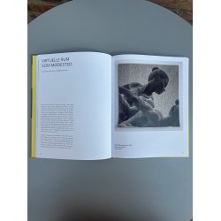 Bog: Ditte Ejlerskov - Stormens Ekko