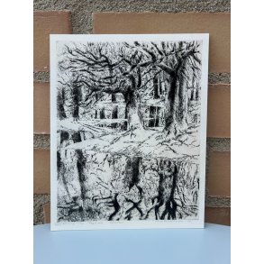 Kort: Vibeke Mencke Nielsen - Requiem Skejten, 1981