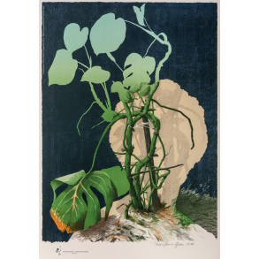 Plakat: Poul Janus Ipsen 