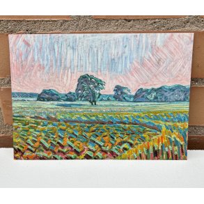 Kort: Niels Larsen Stevns (1864-1941) Roemark